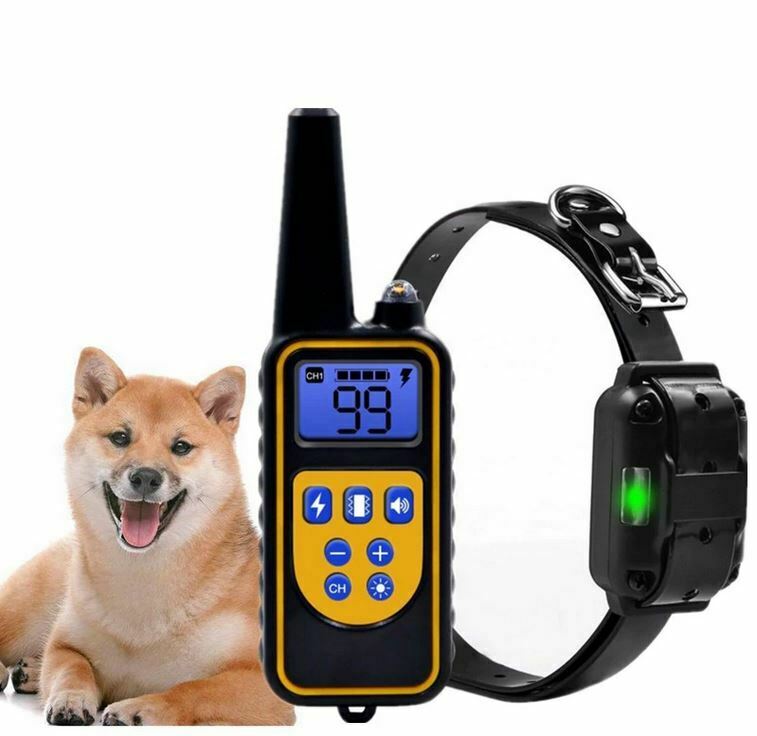 800yard Electric remote Dog Training Collar Waterproof Rechargeable LCD Display
