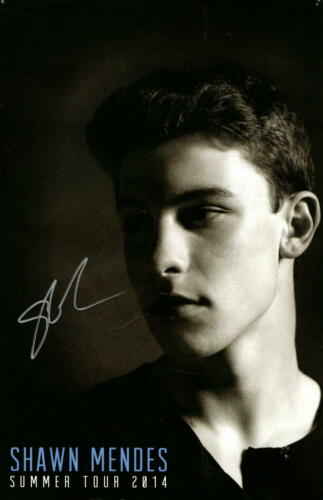 Shawn Mendes Signed Autograph 2014 Summer Tour Concert Poster Wonder Illuminate