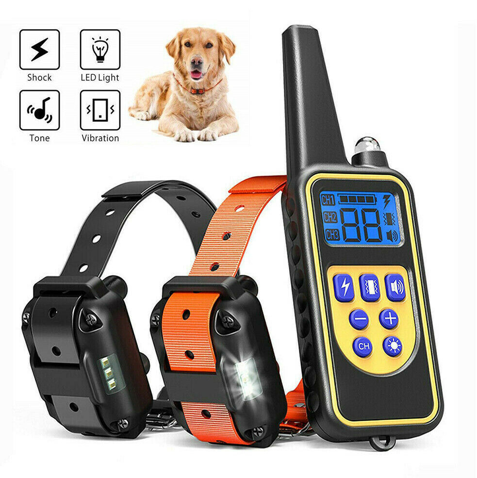Dog Shock Training Collar Rechargeable Remote Control IP67 875 Yards Waterproof