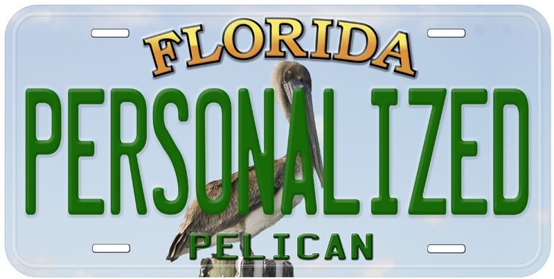 Pelican Florida Aluminum Any Name Novelty Car License Plate